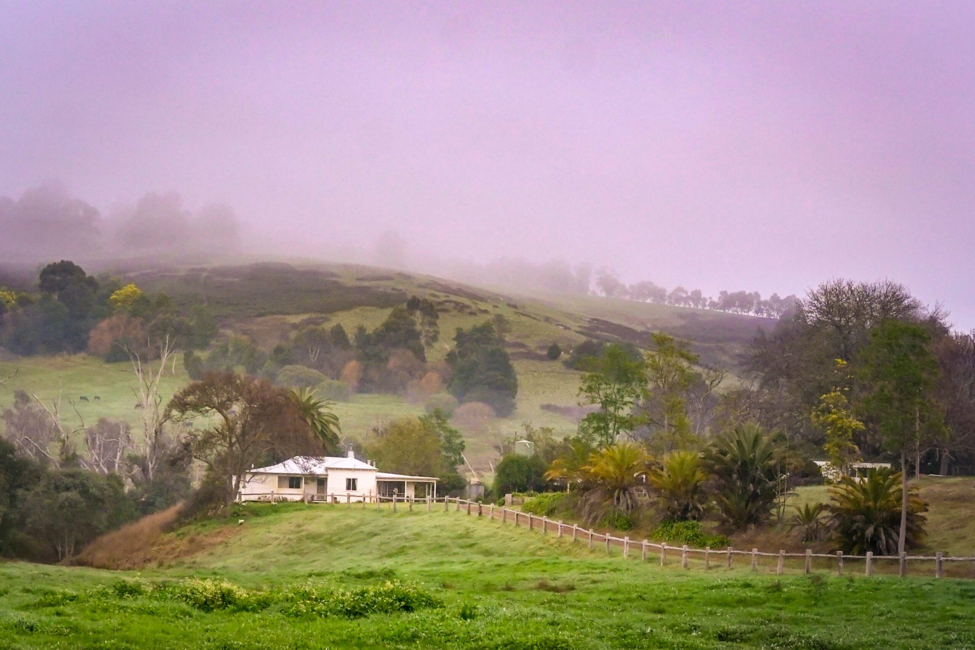 landscape of a country farm land with a cottage at the background